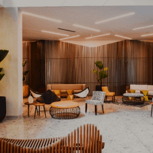 Dogecoin Live Ticker